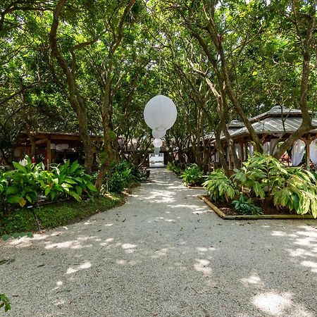 Villa Magical Wonderkoi House In A Japanese Koi Garden Miami Exterior foto