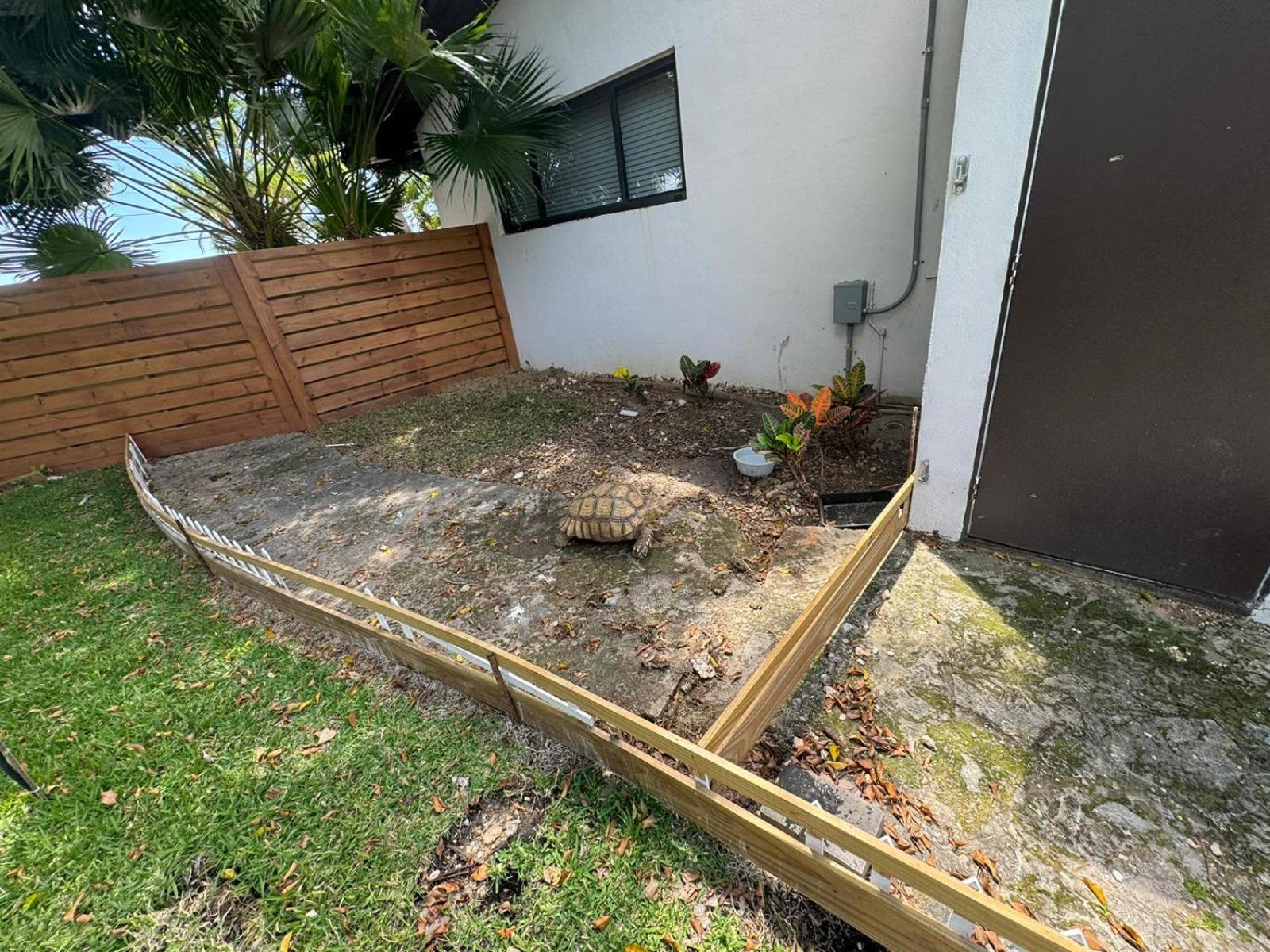 Magical Wonderkoi House In A Japanese Koi Garden Villa Miami Exterior foto