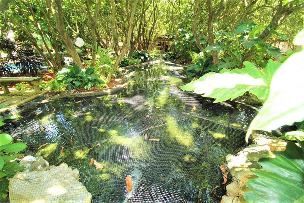 Villa Magical Wonderkoi House In A Japanese Koi Garden Miami Exterior foto
